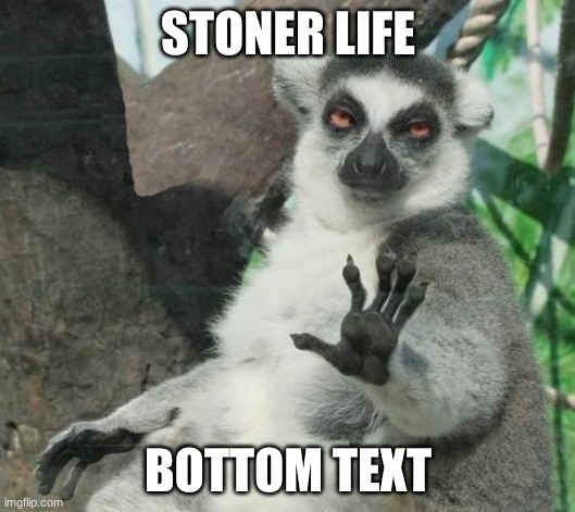 Stoner Lemur Meme | STONER LIFE BOTTOM TEXT | image tagged in memes,stoner lemur | made w/ Imgflip meme maker