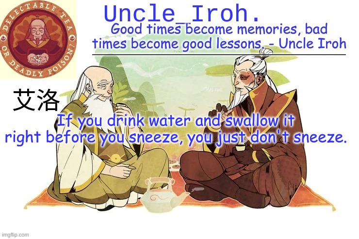 I am the lord of useless knowledge | If you drink water and swallow it right before you sneeze, you just don't sneeze. | image tagged in uncle iroh | made w/ Imgflip meme maker