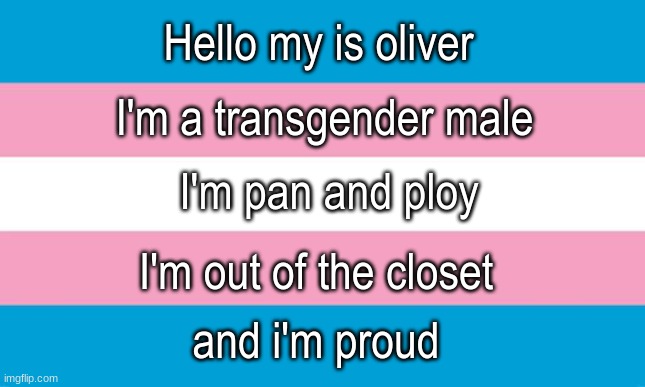 I'm proud to be me | Hello my is oliver; I'm a transgender male; I'm pan and ploy; I'm out of the closet; and i'm proud | image tagged in transgender flag | made w/ Imgflip meme maker