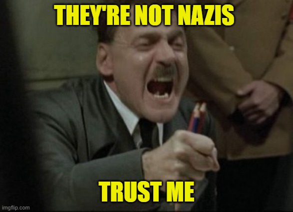 Hitler Downfall | THEY'RE NOT NAZIS TRUST ME | image tagged in hitler downfall | made w/ Imgflip meme maker