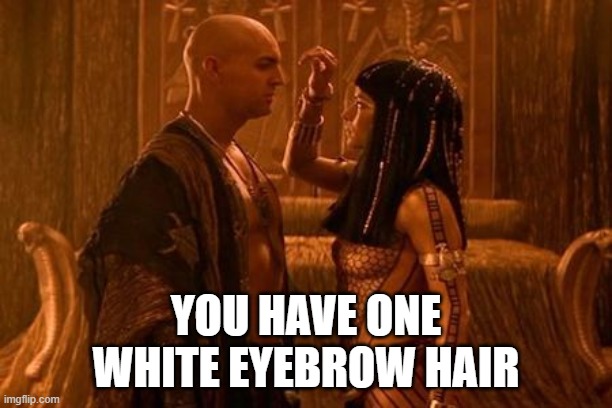 One white eyebrow hair |  YOU HAVE ONE WHITE EYEBROW HAIR | image tagged in imhotep and anck-su-namun,memes,imhotep,mummy | made w/ Imgflip meme maker