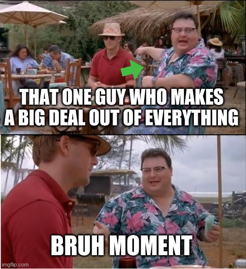 BRUH MOMENT | THAT ONE GUY WHO MAKES A BIG DEAL OUT OF EVERYTHING; BRUH MOMENT | image tagged in memes,see nobody cares | made w/ Imgflip meme maker