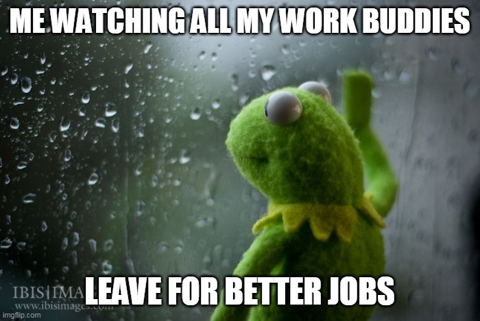 kermit window | ME WATCHING ALL MY WORK BUDDIES; LEAVE FOR BETTER JOBS | image tagged in kermit window | made w/ Imgflip meme maker