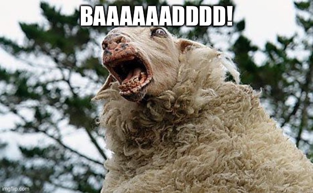 Mad Sheep | BAAAAAADDDD! | image tagged in mad sheep | made w/ Imgflip meme maker