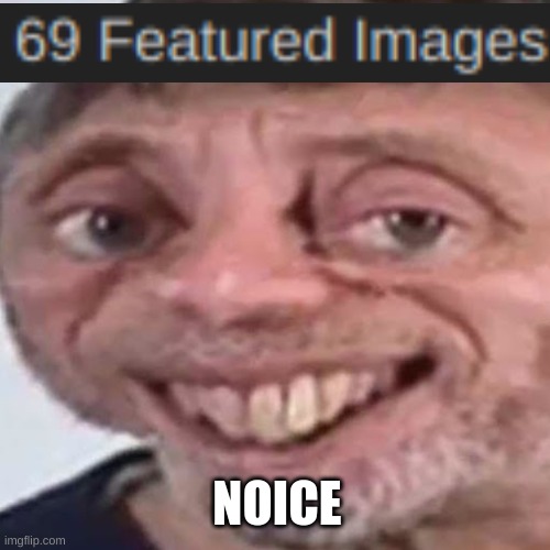 W H Y . | NOICE | image tagged in noice | made w/ Imgflip meme maker