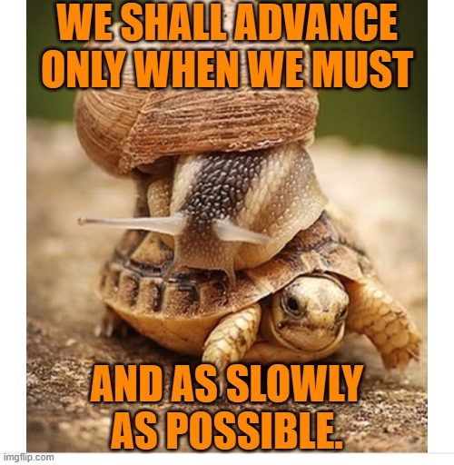 Conservatism in a nutshell | WE SHALL ADVANCE ONLY WHEN WE MUST; AND AS SLOWLY AS POSSIBLE. | image tagged in snail riding turtle,politics lol,old fashioned,you can't live in the past | made w/ Imgflip meme maker