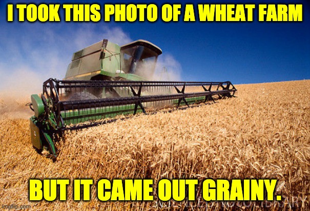 Grainy photo | I TOOK THIS PHOTO OF A WHEAT FARM; BUT IT CAME OUT GRAINY. | image tagged in wheat combine | made w/ Imgflip meme maker