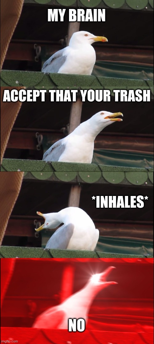 Inhaling Seagull Meme | MY BRAIN; ACCEPT THAT YOUR TRASH; *INHALES*; NO | image tagged in memes,inhaling seagull | made w/ Imgflip meme maker