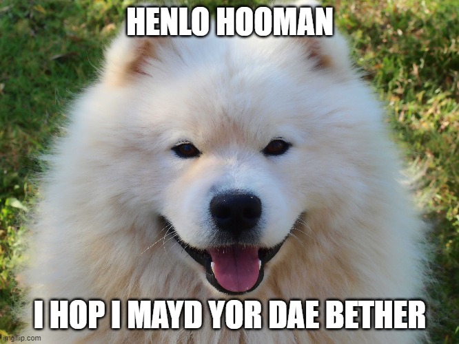 No upvotes. Just a better day. | HENLO HOOMAN; I HOP I MAYD YOR DAE BETHER | image tagged in doggo,cute,happy,today was a good day | made w/ Imgflip meme maker