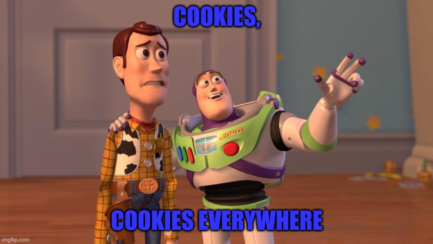 Nobody: Absolutely Nobody: The Website Im looking at at 3am | COOKIES, COOKIES EVERYWHERE | image tagged in woody and buzz lightyear everywhere widescreen | made w/ Imgflip meme maker