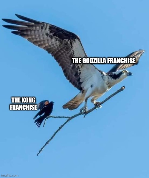 Carrioning | THE GODZILLA FRANCHISE; THE KONG FRANCHISE | image tagged in funny | made w/ Imgflip meme maker