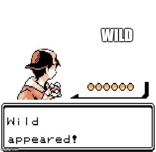 Wild Appeared! | WILD | image tagged in blank wild pokemon appears,funny memes | made w/ Imgflip meme maker