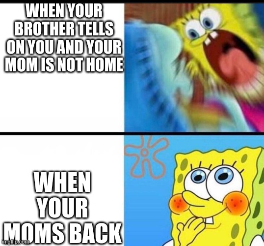 when-your-mom-is-not-home-imgflip