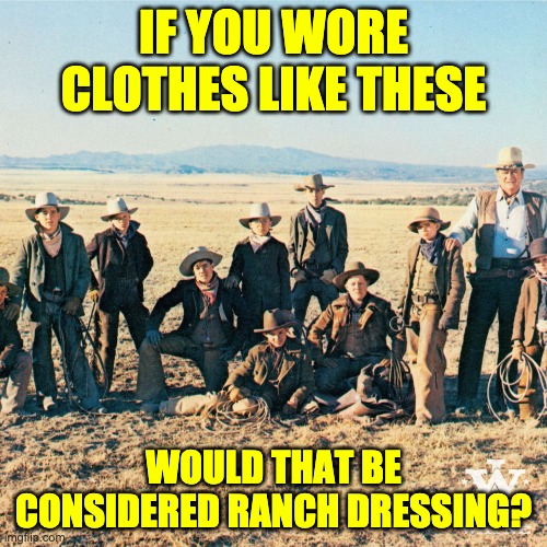 Ranch | IF YOU WORE CLOTHES LIKE THESE; WOULD THAT BE CONSIDERED RANCH DRESSING? | image tagged in the cowboys | made w/ Imgflip meme maker