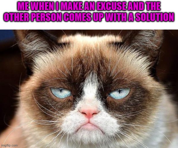 Especially in group projects | ME WHEN I MAKE AN EXCUSE AND THE OTHER PERSON COMES UP WITH A SOLUTION | image tagged in grumpy cat glare | made w/ Imgflip meme maker