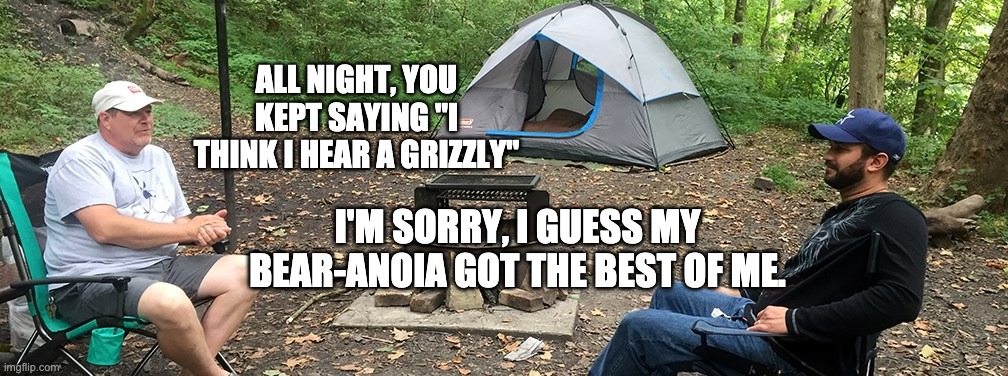 Unbearable | ALL NIGHT, YOU KEPT SAYING "I THINK I HEAR A GRIZZLY"; I'M SORRY, I GUESS MY BEAR-ANOIA GOT THE BEST OF ME. | image tagged in bad pun | made w/ Imgflip meme maker