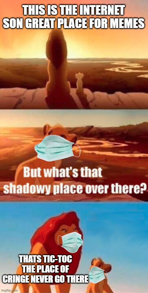 Simba Shadowy Place | THIS IS THE INTERNET SON GREAT PLACE FOR MEMES; THATS TIC-TOC THE PLACE OF CRINGE NEVER GO THERE | image tagged in memes,simba shadowy place | made w/ Imgflip meme maker