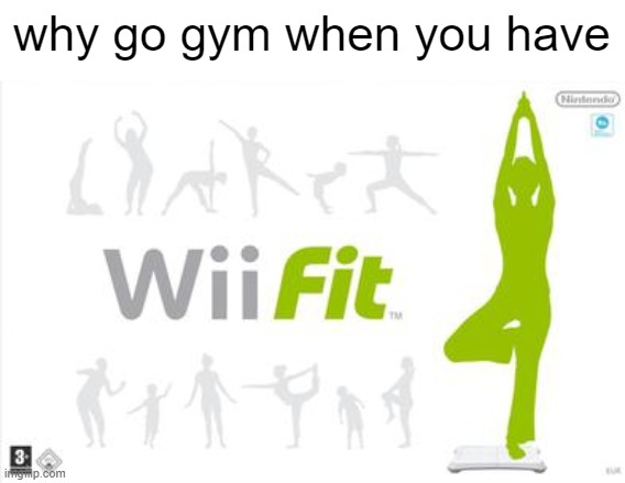 my personal trainer from home | why go gym when you have | image tagged in wii,memes | made w/ Imgflip meme maker