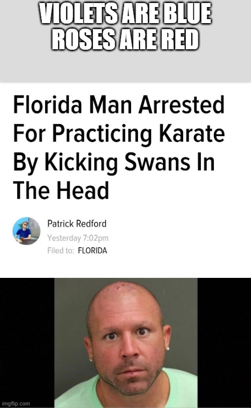 Everybody love Swan-Fu Fighting | VIOLETS ARE BLUE
ROSES ARE RED | image tagged in florida man,swan abuse | made w/ Imgflip meme maker