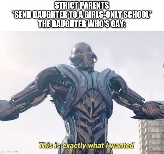 Exactly What I Wanted | STRICT PARENTS
*SEND DAUGHTER TO A GIRLS-ONLY SCHOOL*
THE DAUGHTER WHO'S GAY: | image tagged in exactly what ultron wanted | made w/ Imgflip meme maker