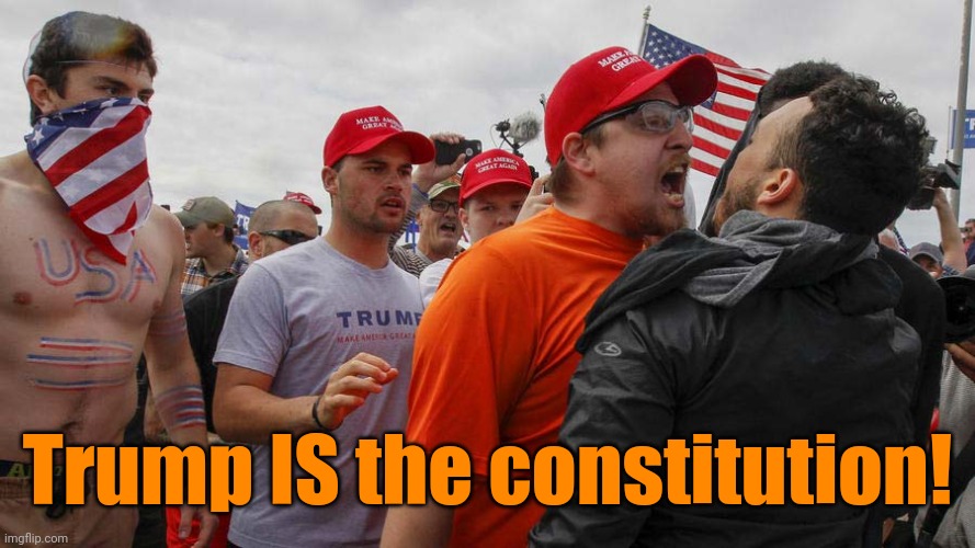 Angry Red Cap | Trump IS the constitution! | image tagged in angry red cap | made w/ Imgflip meme maker
