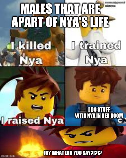 Ninjago Logic | MALES THAT ARE APART OF NYA'S LIFE; I DO STUFF WITH NYA IN HER ROOM; JAY WHAT DID YOU SAY?!?!? | image tagged in funny memes | made w/ Imgflip meme maker