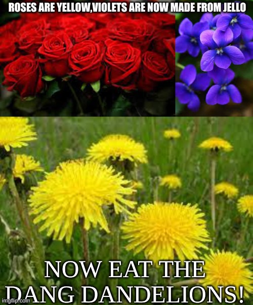 .. | ROSES ARE YELLOW,VIOLETS ARE NOW MADE FROM JELLO; NOW EAT THE DANG DANDELIONS! | image tagged in memes | made w/ Imgflip meme maker