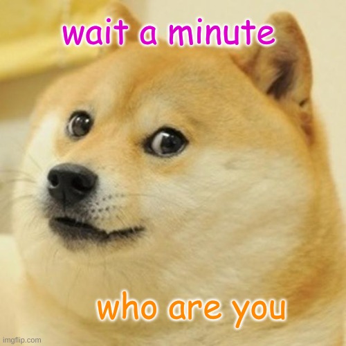 wait a minute | wait a minute; who are you | image tagged in memes,doge | made w/ Imgflip meme maker