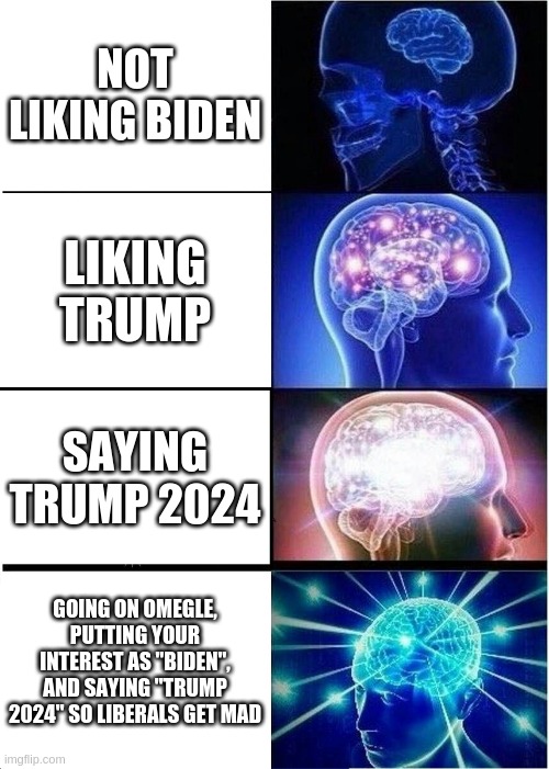 lol idk what i'm doing | NOT LIKING BIDEN; LIKING TRUMP; SAYING TRUMP 2024; GOING ON OMEGLE, PUTTING YOUR INTEREST AS "BIDEN", AND SAYING "TRUMP 2024" SO LIBERALS GET MAD | image tagged in memes,expanding brain | made w/ Imgflip meme maker