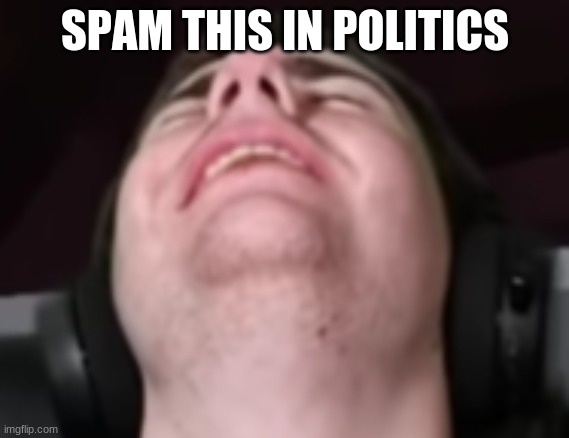 sapnap erection | SPAM THIS IN POLITICS | image tagged in sapnap erection | made w/ Imgflip meme maker
