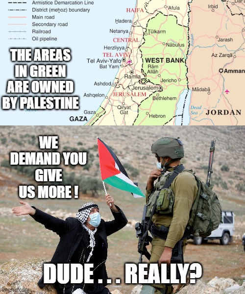 You Want More Land? | THE AREAS IN GREEN ARE OWNED BY PALESTINE; WE DEMAND YOU GIVE US MORE ! DUDE . . . REALLY? | image tagged in israel,palestine,palestinians,biden,conflict,liberals | made w/ Imgflip meme maker