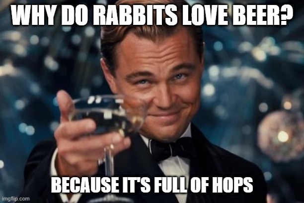 Leonardo Dicaprio Cheers | WHY DO RABBITS LOVE BEER? BECAUSE IT'S FULL OF HOPS | image tagged in memes,leonardo dicaprio cheers | made w/ Imgflip meme maker