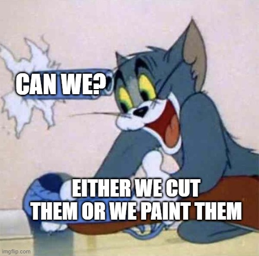 Tom backfire | EITHER WE CUT THEM OR WE PAINT THEM CAN WE? | image tagged in tom backfire | made w/ Imgflip meme maker