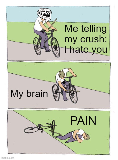 Bike Fall | Me telling my crush: I hate you; My brain; PAIN | image tagged in memes,bike fall | made w/ Imgflip meme maker