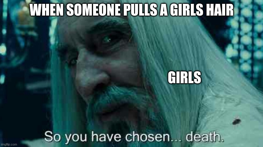 So you have chosen death | WHEN SOMEONE PULLS A GIRLS HAIR; GIRLS | image tagged in so you have chosen death | made w/ Imgflip meme maker