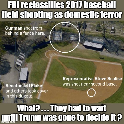 THe Amazing FBI | FBI reclassifies 2017 baseball field shooting as domestic terror; What? . . . They had to wait until Trump was gone to decide it ? | image tagged in fbi,steve scallise | made w/ Imgflip meme maker