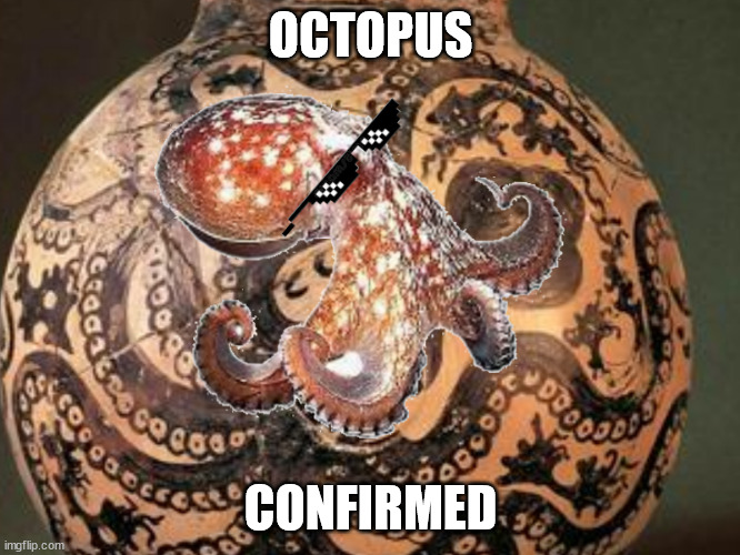 Octopus confirmed | OCTOPUS; CONFIRMED | image tagged in octopus | made w/ Imgflip meme maker