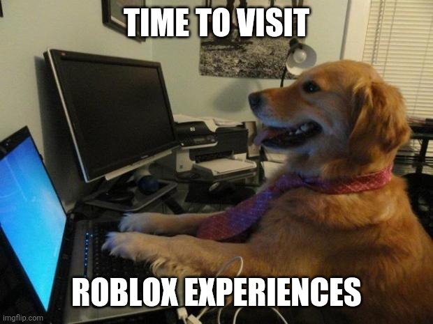 Dog behind a computer | TIME TO VISIT; ROBLOX EXPERIENCES | image tagged in dog behind a computer | made w/ Imgflip meme maker