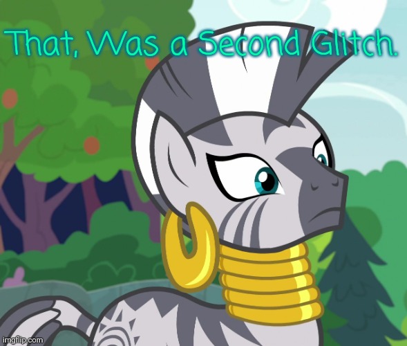 Concerned Zecora (MLP) | That, Was a Second Glitch. | image tagged in concerned zecora mlp | made w/ Imgflip meme maker