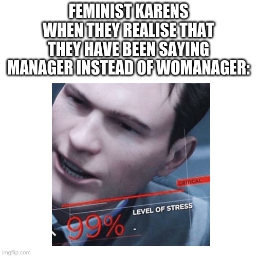 FEMINIST KARENS WHEN THEY REALISE THAT THEY HAVE BEEN SAYING MANAGER INSTEAD OF WOMANAGER: | image tagged in karen,feminist,stress,memes | made w/ Imgflip meme maker
