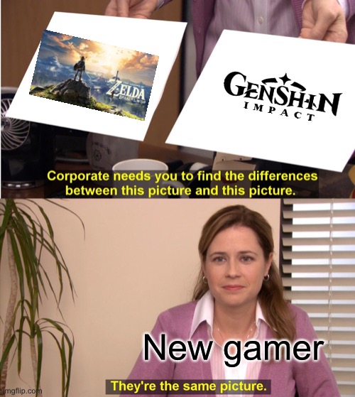 They're The Same Picture Meme | New gamer | image tagged in memes,they're the same picture | made w/ Imgflip meme maker