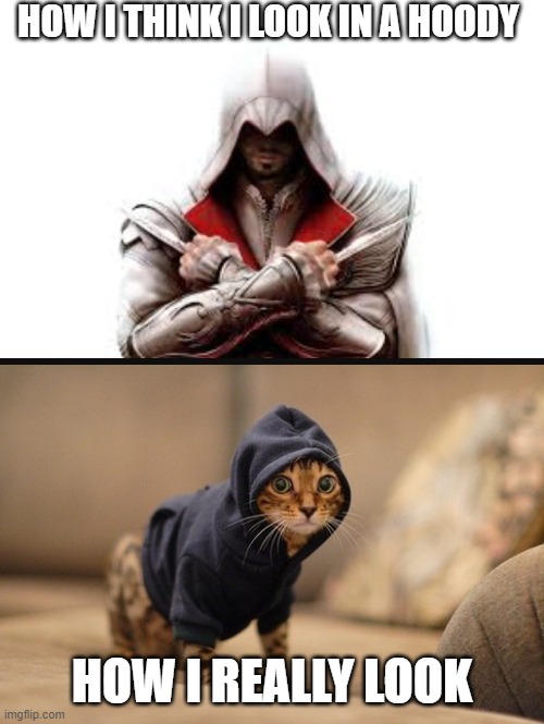 Hoody Cat | HOW I THINK I LOOK IN A HOODY; HOW I REALLY LOOK | image tagged in memes,hoody cat | made w/ Imgflip meme maker