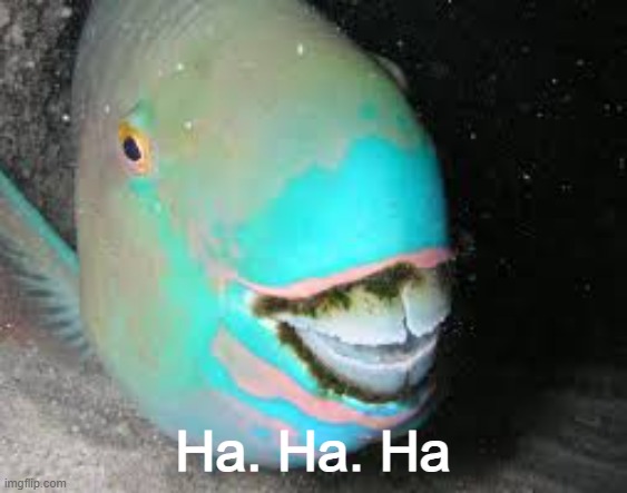 Moss teeth | Ha. Ha. Ha | image tagged in moss teeth | made w/ Imgflip meme maker