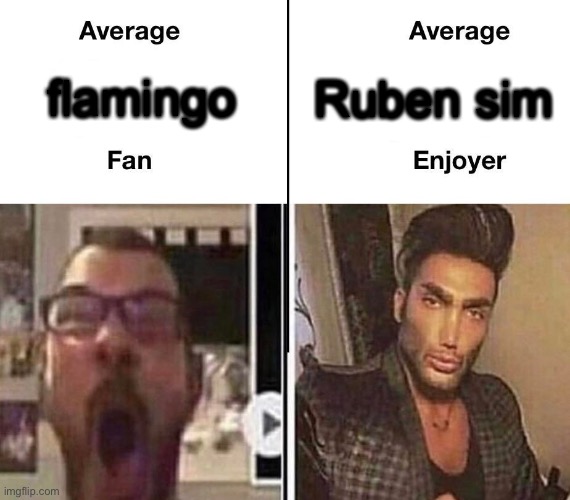 Average Fan vs. Average Enjoyer | Ruben sim; flamingo | image tagged in average fan vs average enjoyer | made w/ Imgflip meme maker