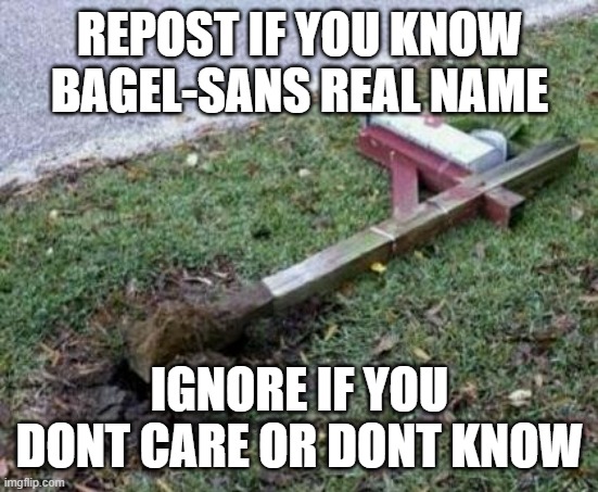 i know it XD | REPOST IF YOU KNOW BAGEL-SANS REAL NAME; IGNORE IF YOU DONT CARE OR DONT KNOW | made w/ Imgflip meme maker