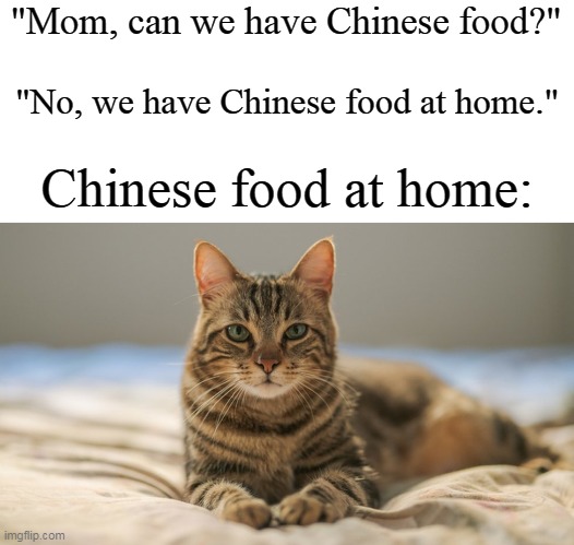 Tasty-looking... | "Mom, can we have Chinese food?"; "No, we have Chinese food at home."; Chinese food at home: | image tagged in chinese food,mom can we have,food,home,cats,dark humor | made w/ Imgflip meme maker