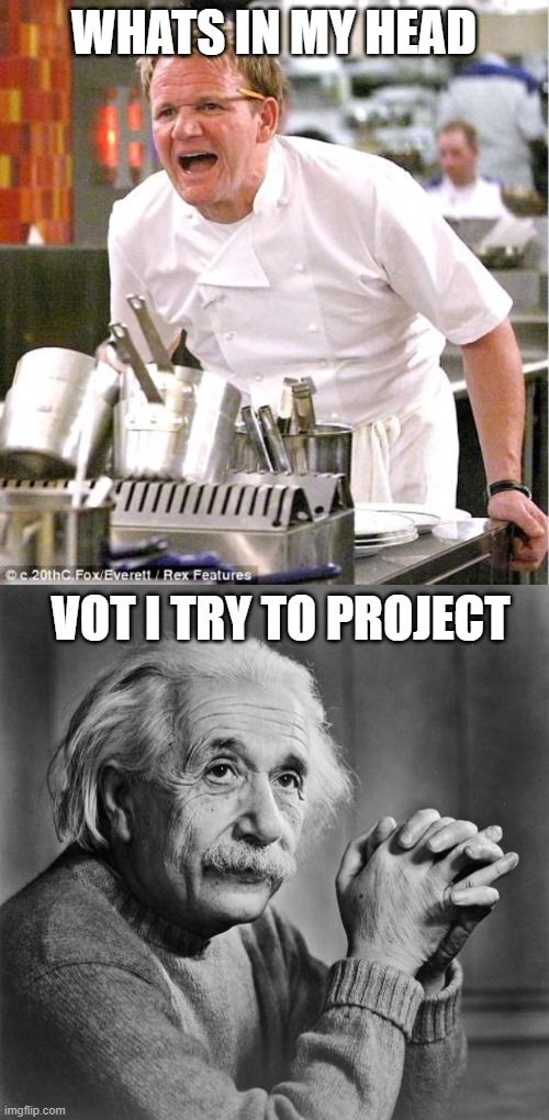 WHATS IN MY HEAD VOT I TRY TO PROJECT | image tagged in memes,chef gordon ramsay,einstein | made w/ Imgflip meme maker
