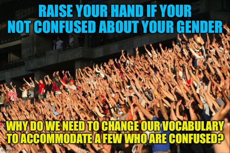 I know what gender I am by looking between my legs | RAISE YOUR HAND IF YOUR NOT CONFUSED ABOUT YOUR GENDER; WHY DO WE NEED TO CHANGE OUR VOCABULARY TO ACCOMMODATE A FEW WHO ARE CONFUSED? | image tagged in raise your hands crowd,follow the science,gender is not fluid,science is real,you are confused little guy | made w/ Imgflip meme maker