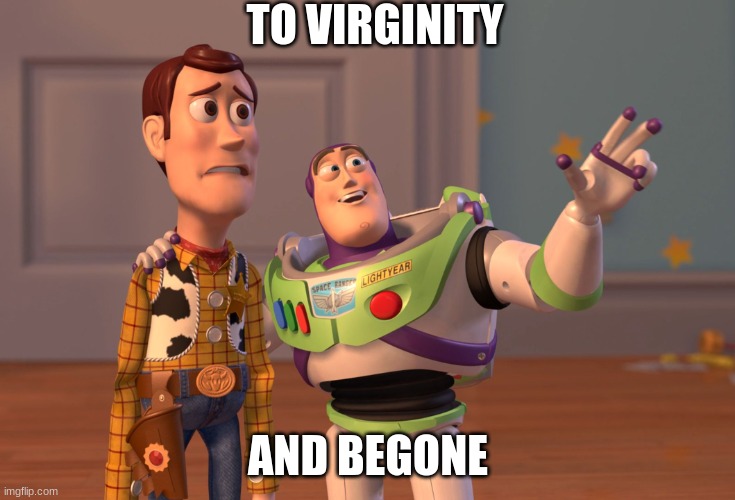 X, X Everywhere | TO VIRGINITY; AND BEGONE | image tagged in memes,x x everywhere | made w/ Imgflip meme maker