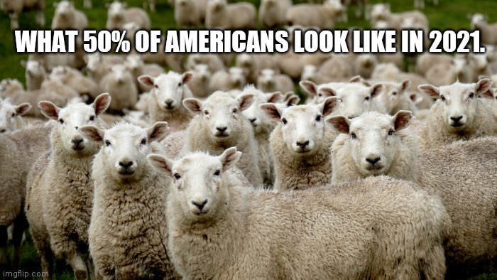 Sheep | WHAT 50% OF AMERICANS LOOK LIKE IN 2021. | image tagged in politics,slavery,america,sheep | made w/ Imgflip meme maker